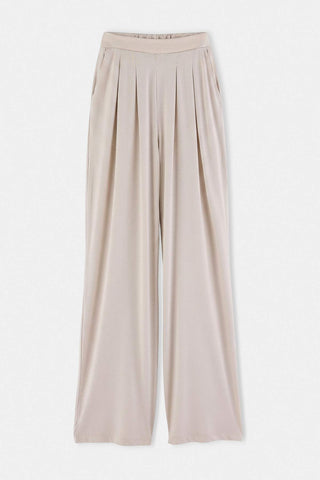 Pantalone TWOSS24PL00071 - kamen [djesi-src-114bd80100390d1f9007d74d34ed8290bfc06ab4ea59e8439d28b84ddbd3925a]