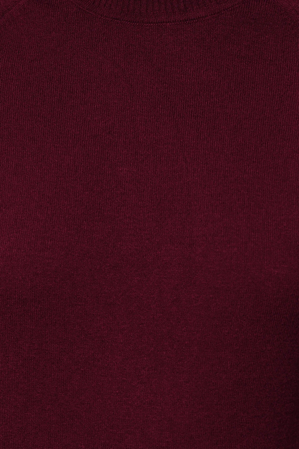 Bluze TWOAW24BZ00005 - bordo [djesi-src-44a0c9148af30332cfe38a6eb53c135ac13b3f1d2de2c6c1753af5d50cefb471]