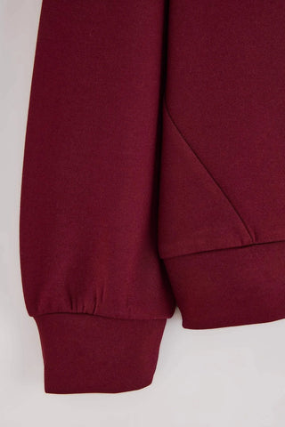 Dukserica TKDAW27SW00072 - bordo [djesi-src-2d2fc68d6124737f7916e9eba6a4b65f9b6f35d7f0df51aeda0a040f028ebbb3]