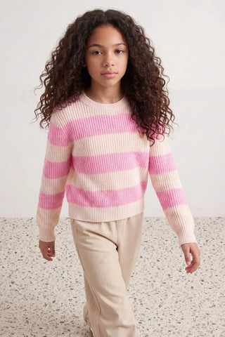 Džemper TKDAW27KZ00020 - roze [djesi-src-ee5b7bf08e1bbff9f94cb1313f2b2223f29ed4eb3c297d6d3d1c3e8c15a6d0b3]