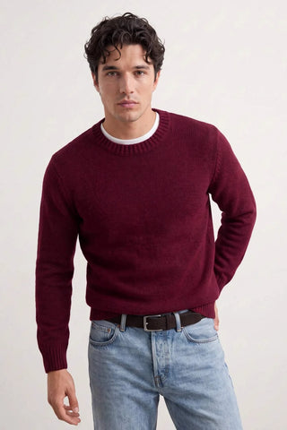 Dzemperi TMNAW27KZ00029 - bordo [djesi-src-eb1883dbdca66029b8fd98ec0039db7b4aa6fd58ccba01fbc84787781c38841b]