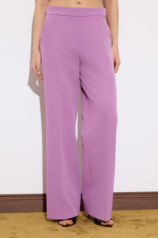 Pantalone TWOSS26PL00057 - lila [djesi-src-c815a1788fe730baccaff0c3c2bdc740ae704101ddf516b3ce6fa09727cf78c0]