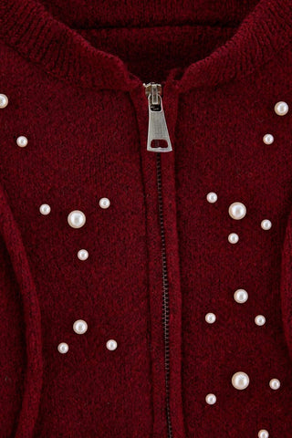 Kardigani TWOAW25HI00168 - bordo [djesi-src-9420586aa0058d09ba5c2076a4db87f2a99e343522a15bd0787c2079dd1840b3]
