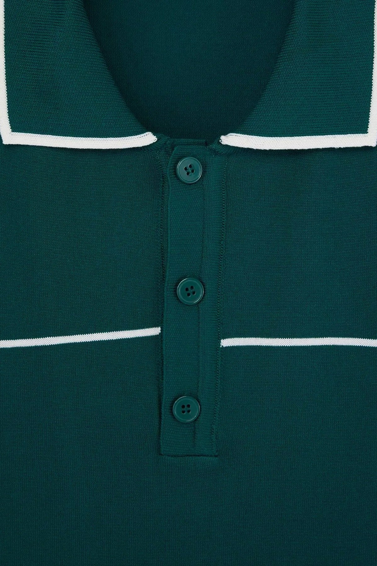 Polo majica TMNSS26TS00019 - zelena [djesi-src-ddd88ffefb860bfe366b57979af05f83ece3f6cf9616fecb0f11c7728ba58a7d]