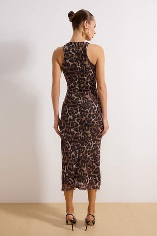 Bodi TPRSS24EL00202 - braon