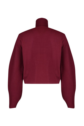 Džemper TWOAW21KZ0485 - bordo