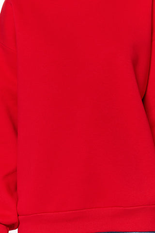 Duksevi TWOAW24SW00102 - crvena [djesi-src-a2b862257f8b4400edbf1a6a1154ad97be89825d1f616a1a57d019726f4ad262]