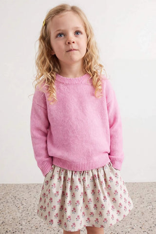 Džemper TKDAW27KZ00019 - roze [djesi-src-a87c5fec0e58b8e7bf887ceca73a48ce2edac1f572e96085f760da17d19ada9c]