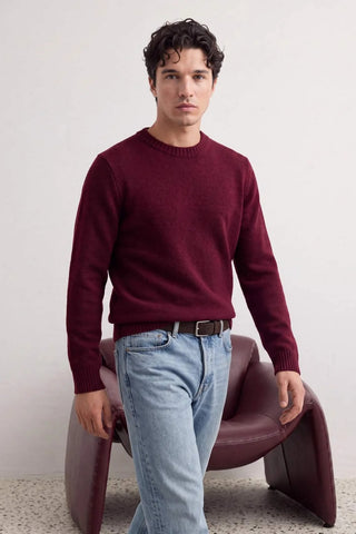 Dzemperi TMNAW27KZ00029 - bordo [djesi-src-d1e3d42505653acfb499cfe65ec43d5e138ada01307ff2f1f67c4e655b1aa178]