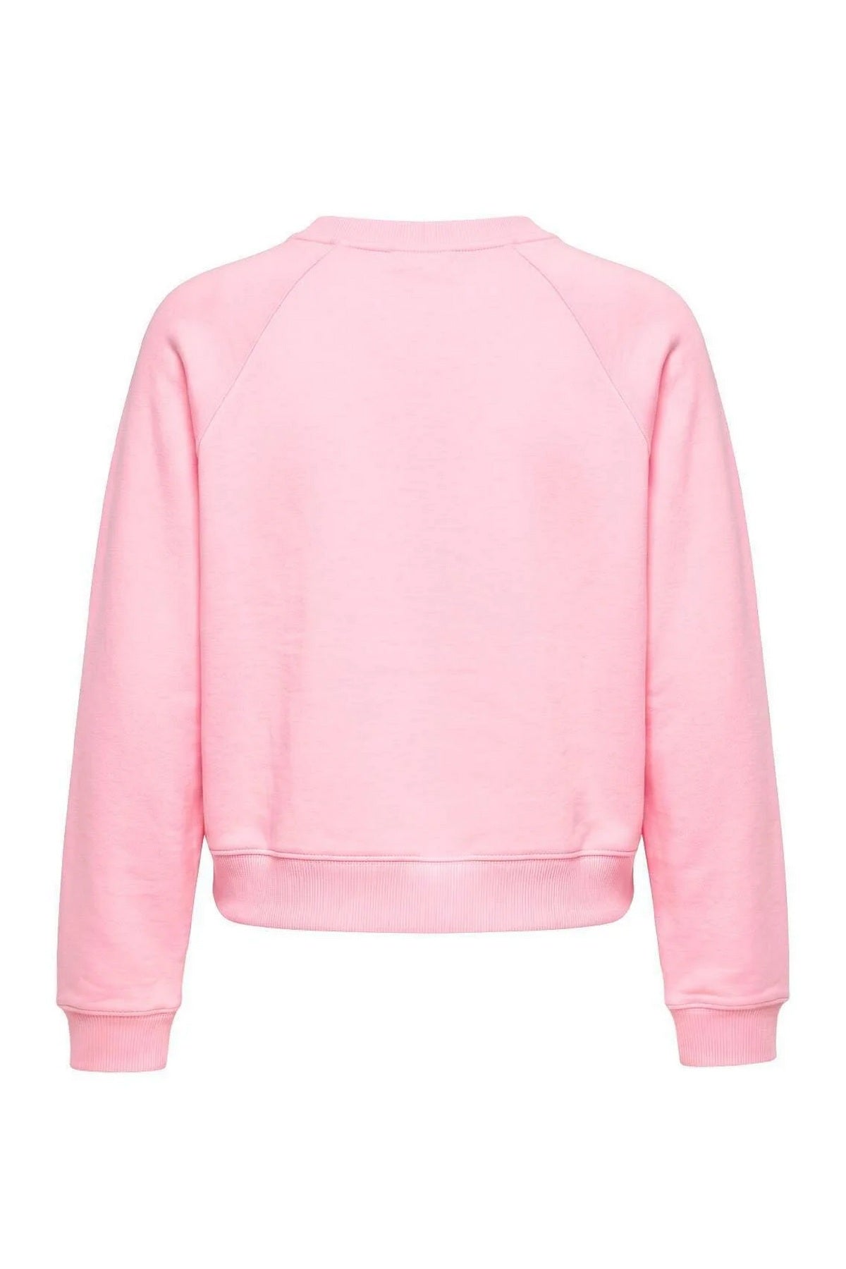 Dukserica TWOAW27SW00219 - roze [djesi-src-045fd911f20cbd9efb6ae30279dc65bb3b8f935b21cf4af3f89e2d4d37d03949]
