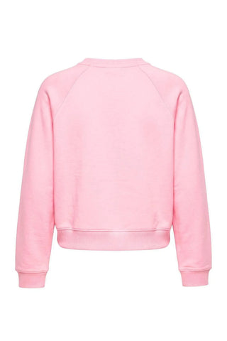 Dukserica TWOAW27SW00219 - roze [djesi-src-045fd911f20cbd9efb6ae30279dc65bb3b8f935b21cf4af3f89e2d4d37d03949]