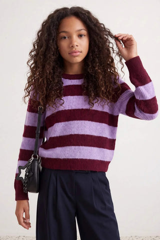 Džemper TKDAW27KZ00020 - bordo [djesi-src-b9a08b7a9ac1b9a48b2561e1b51c8d2be9f11120d9994db6f0c00c4017cb9d40]