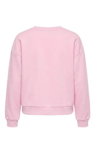 Dukserica TWOAW27SW00110 - roze [djesi-src-bbd64460534fc5d615b80ce309e7483340aa484106c8a3512908894e235f01a5]