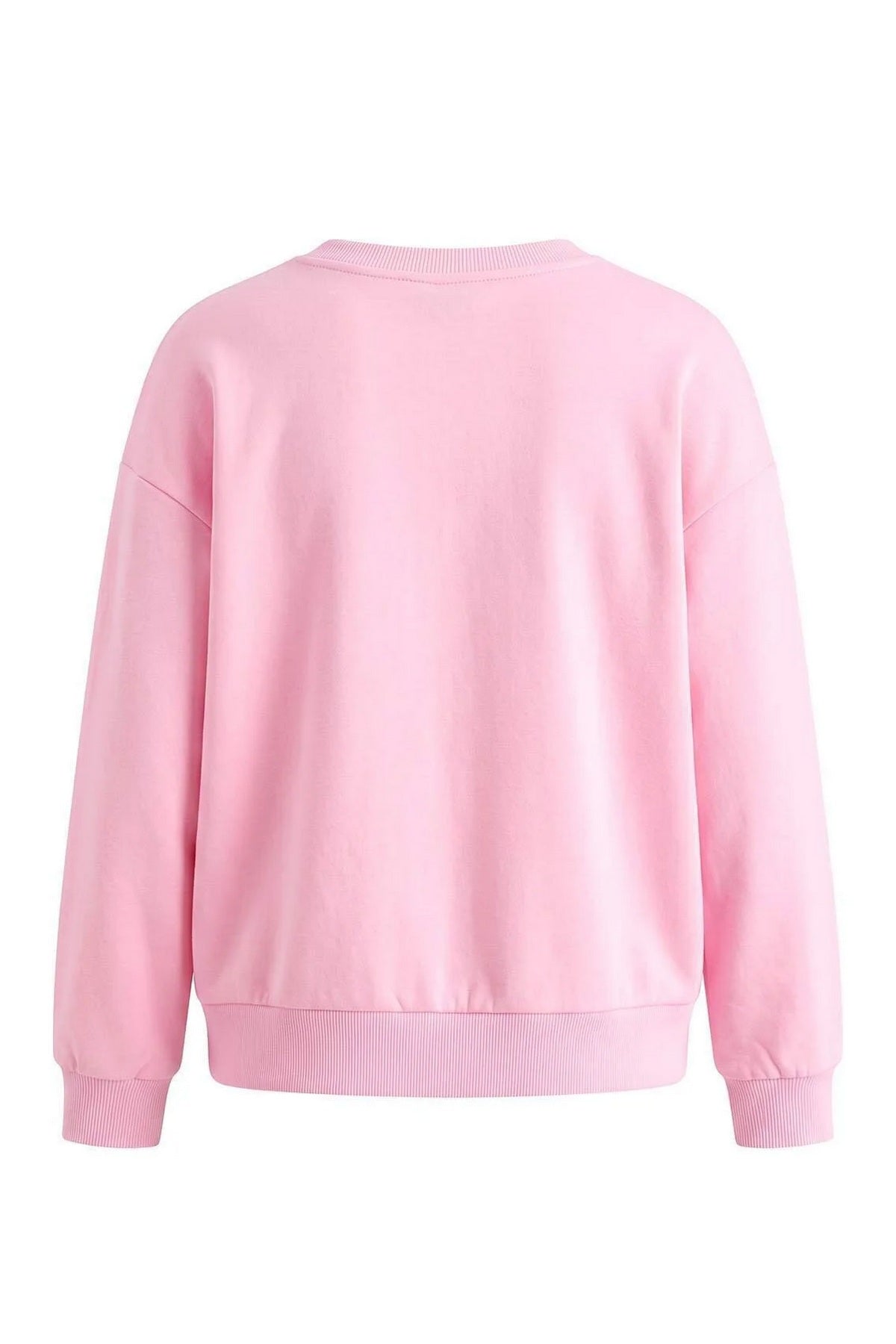 Dukserica TWOAW27SW00097 - roze [djesi-src-01bcea601059a06135f5308eea06059c119dab23e430978278661a9422066bf1]