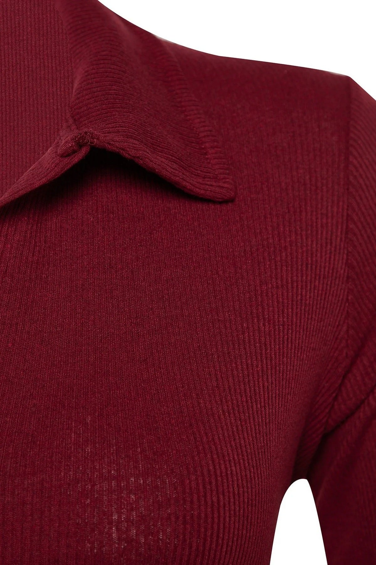 Bodi TBBAW23CS00007 - bordo [djesi-src-2b219b1df54505355850bdd4f99de702c0e20d3176ccd14465c997697184ca53]