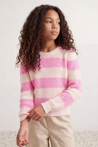 Džemper TKDAW27KZ00020 - roze [djesi-src-55bbd46985209da8a570665ce5826af214028b31d7ebb6a43e84e0aa1be26668]