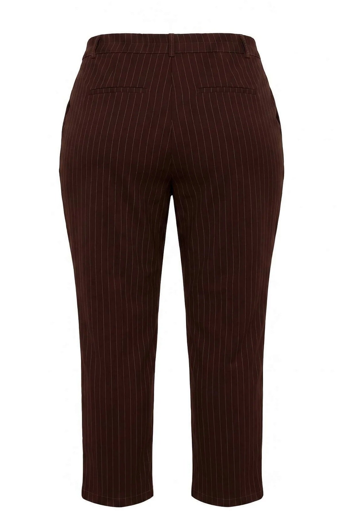 Pantalone TBBAW27AR00017 - braon [djesi-src-8148ae8b1ff9dad1c51196a2eb692846a1458d732152546b7340bb575e0373a8]