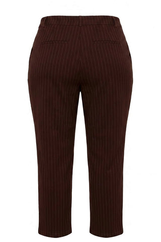 Pantalone TBBAW27AR00017 - braon [djesi-src-8148ae8b1ff9dad1c51196a2eb692846a1458d732152546b7340bb575e0373a8]