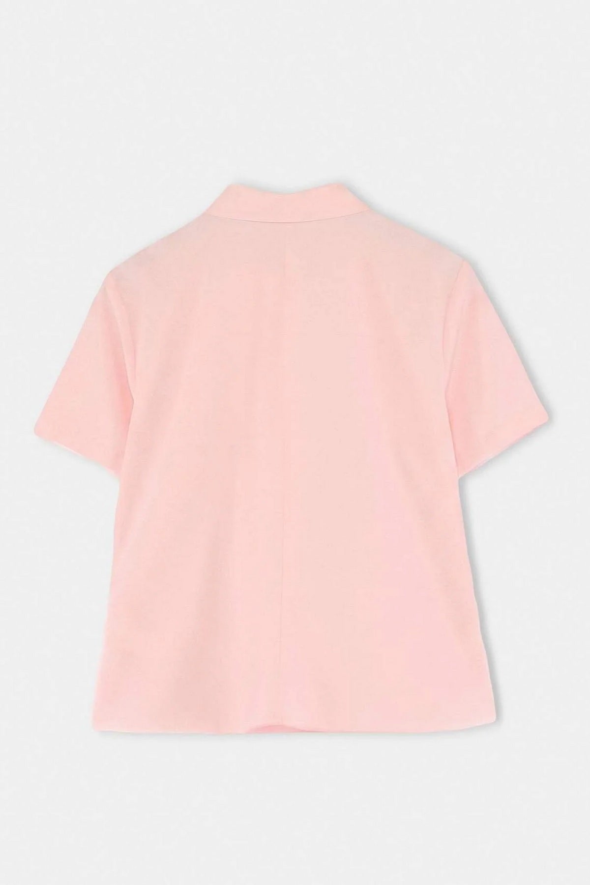 Košulja TBBSS26AX00028 - roze [djesi-src-18b07e9c510749fb8c5e3b0109023e15e97bd71564050203cc0621eee32ae46c]