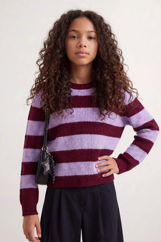 Džemper TKDAW27KZ00020 - bordo [djesi-src-7b2fe8c00733ce2adf8c21516da3cdaffcb98358b0c8133c62be8b773cf30fe2]